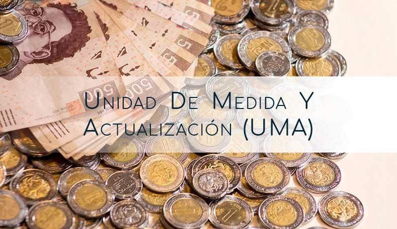 UMA